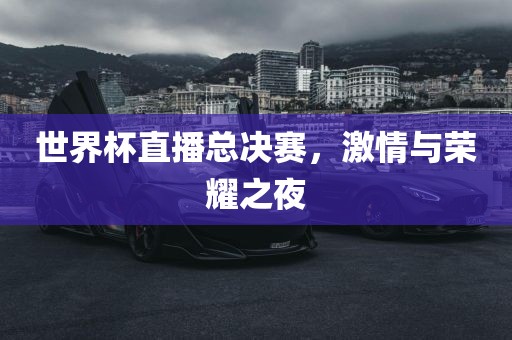 世界杯直播总决赛，激情与荣耀之夜