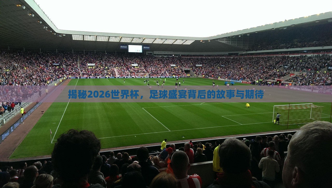 揭秘2026世界杯，足球盛宴背后的故事与期待洛阳市法福文化传播有限公司